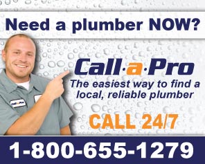 Call a Pro for Plumbers in Maui